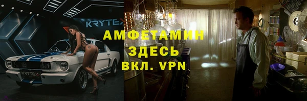 хмурый Абаза