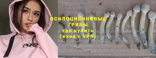 хмурый Абаза