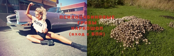 мескалин Нефтегорск