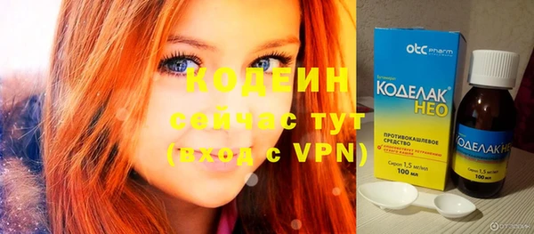 хмурый Абаза