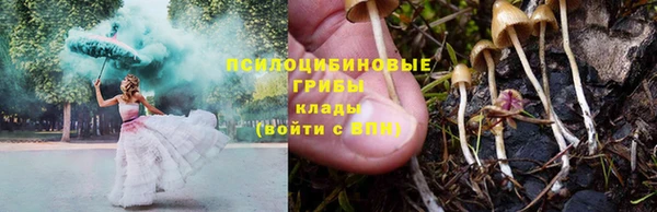 хмурый Абаза