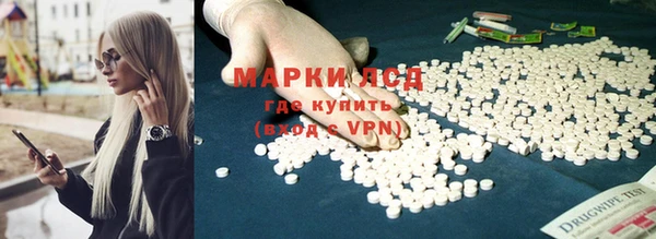хмурый Абаза