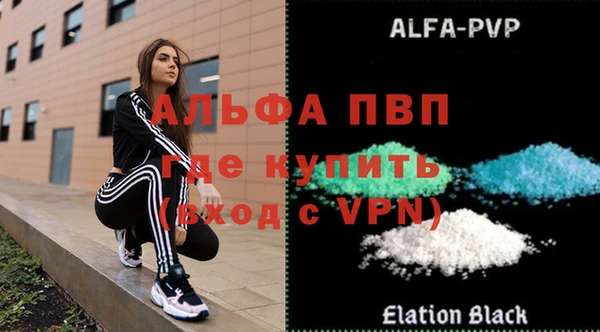хмурый Абаза
